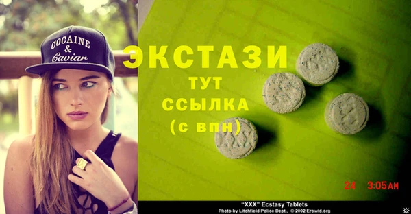 индика Вязьма