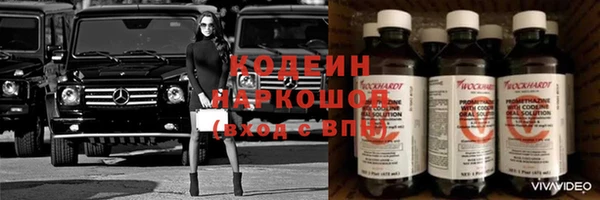индика Вязьма