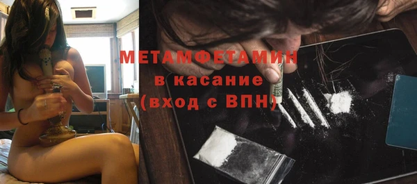 индика Вязьма