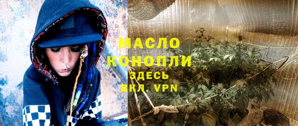 индика Вязьма