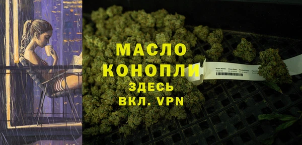 индика Вязьма