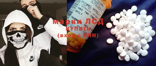 индика Вязьма