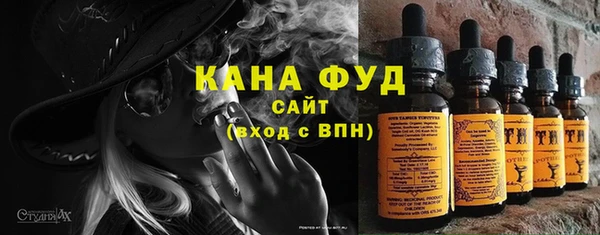 индика Вязьма